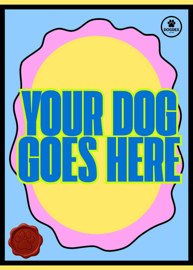 Your Dog Goes Here 🐾