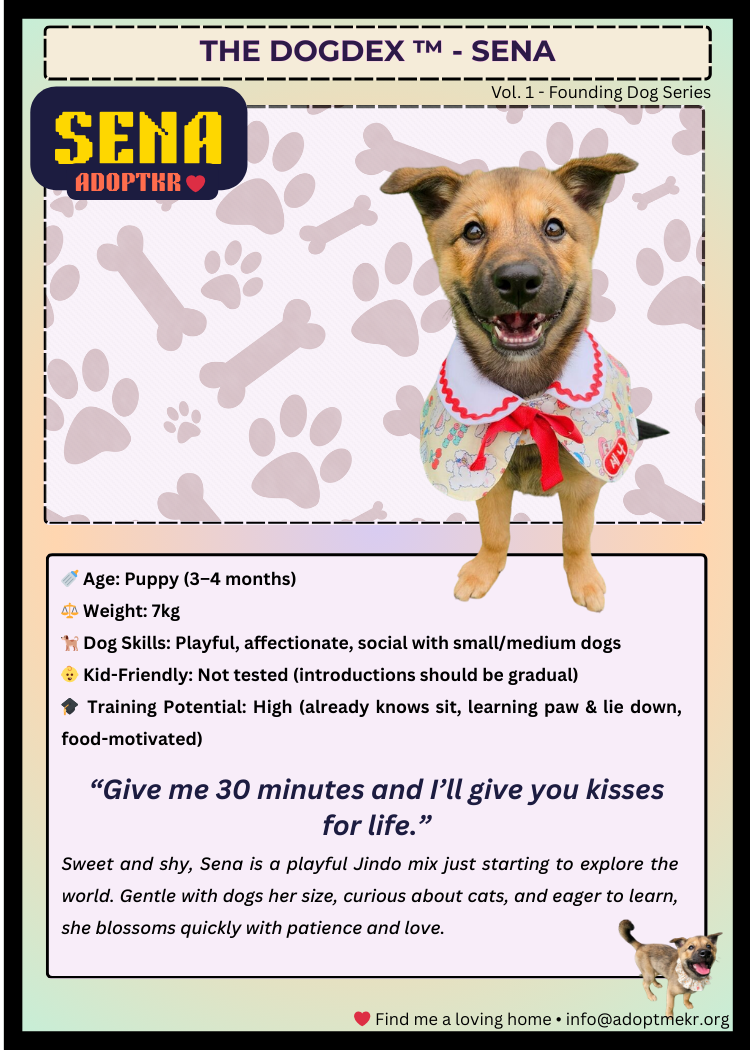 Sena- Adopt Me!