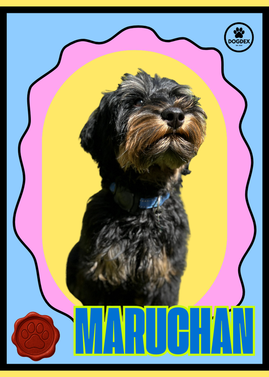 Maruchan #008