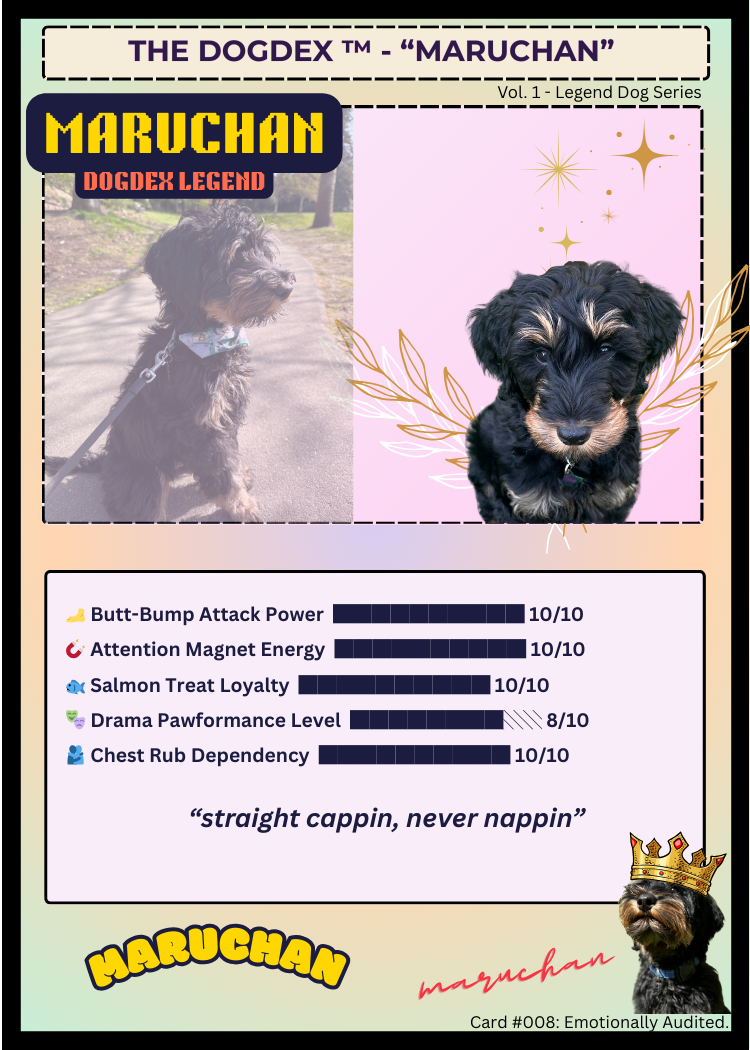 Maruchan #008