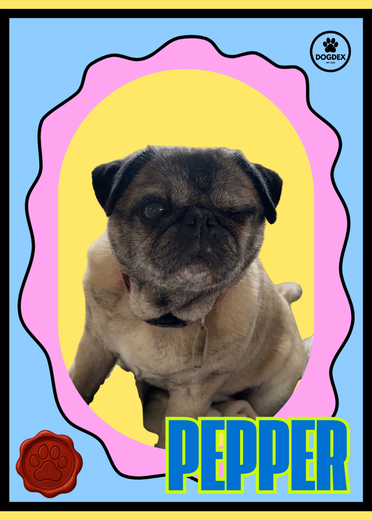 Pepper #009
