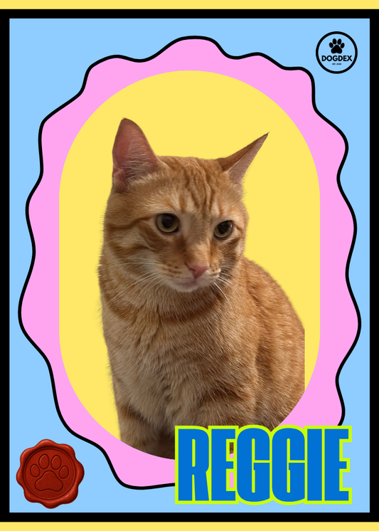 Reggie #017 (Feline Series)