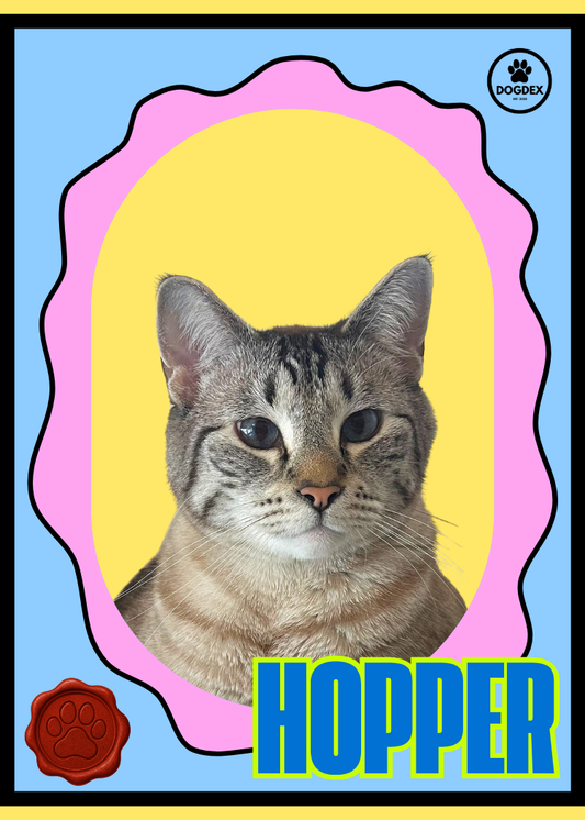Hopper #016 (Feline Series)