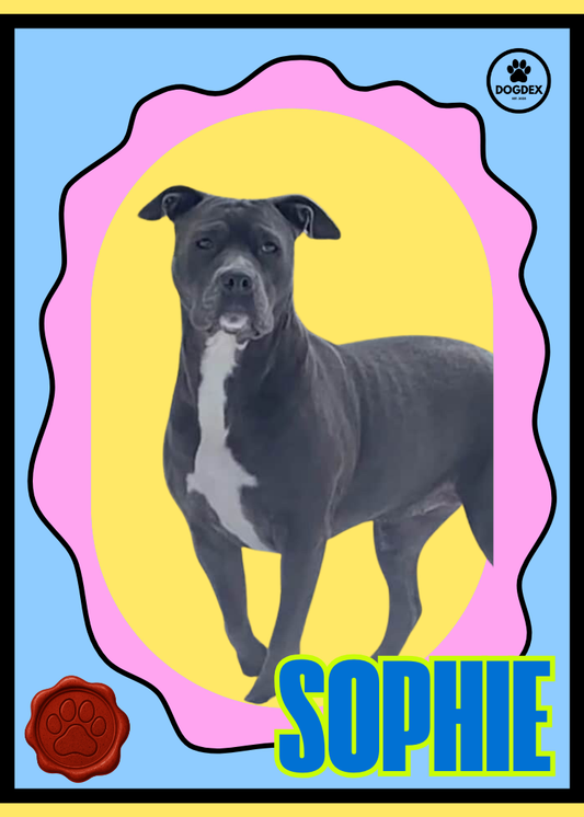 Sophie #007