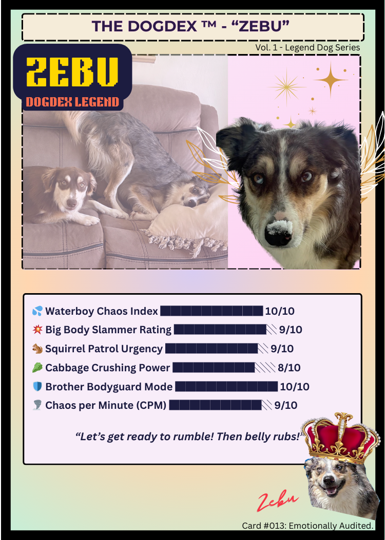 Zebu #014
