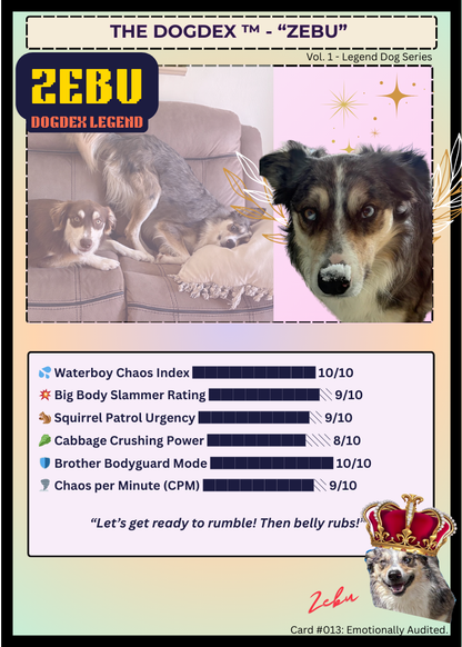 Zebu #014