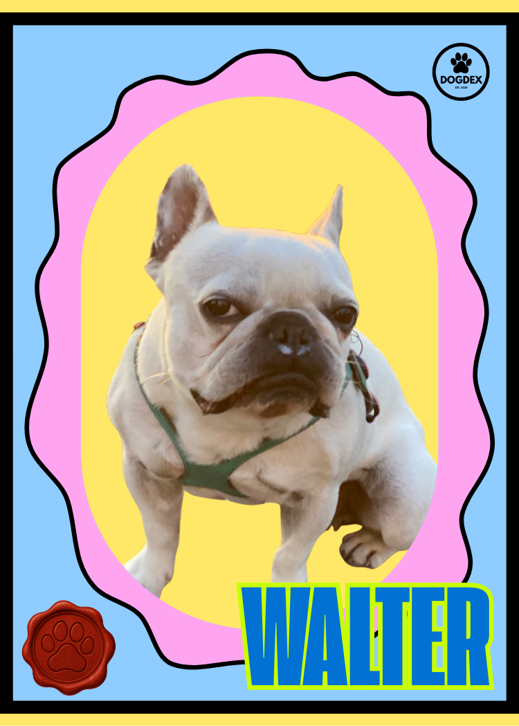 Walter #004