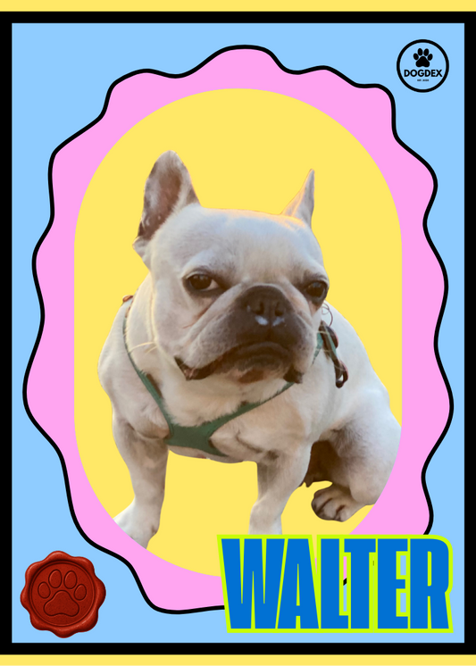 Walter #004