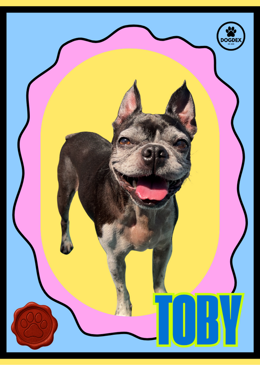 Toby #005