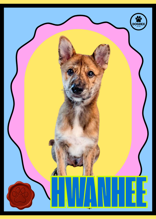 Hwanhee - Adopt Me!