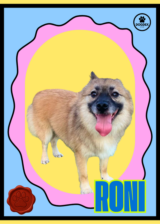 Roni - Adopt Me!
